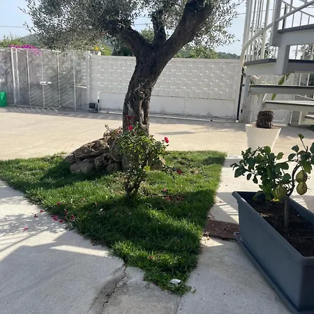 Fiori D'angelo Apartment Agropoli